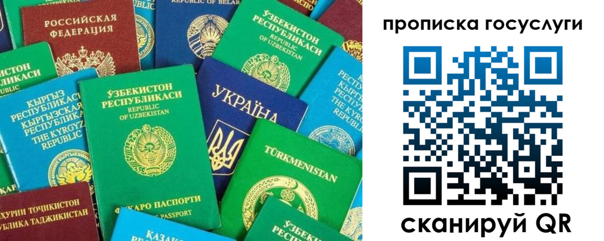 временная регистрация для всех в Отрадном